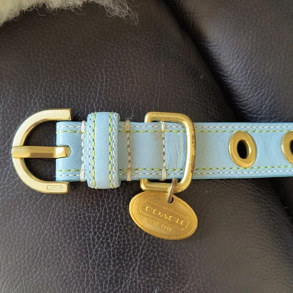 Coach Dog collar
